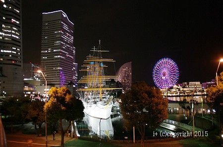 IMGP2633.jpg